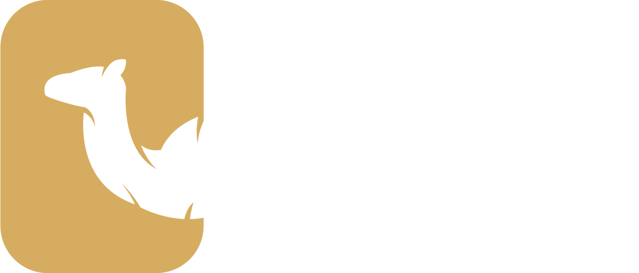 Morocco Travel Time