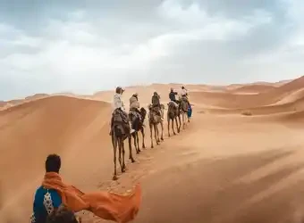 DESERT TOUR & CAMEL TREK