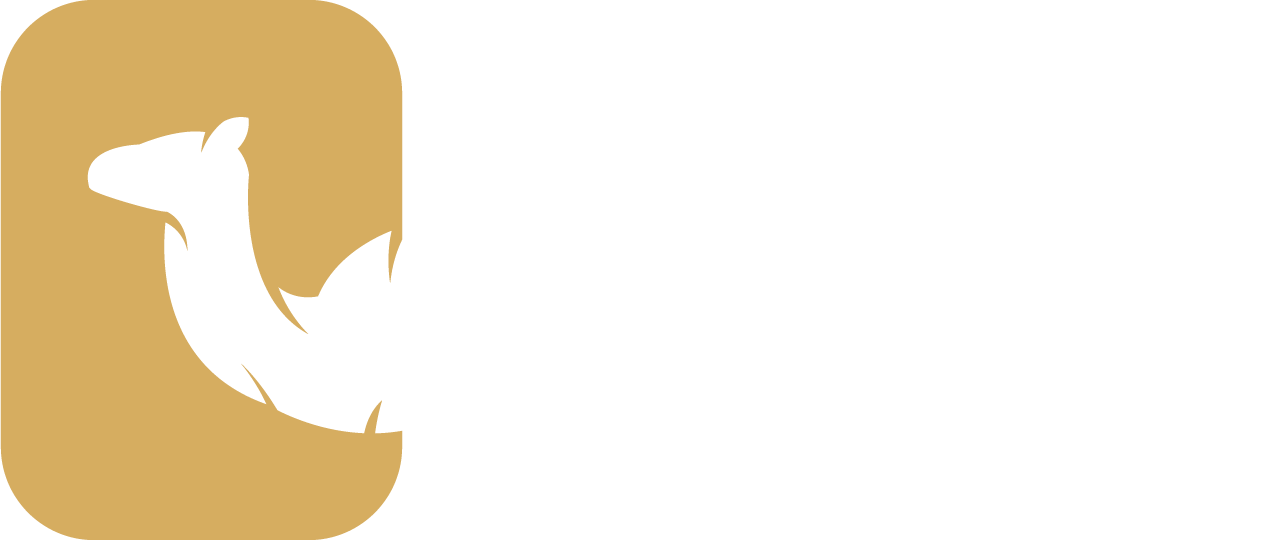 Morocco Travel Time logo
